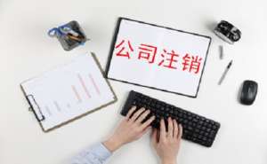 蕪湖公司標(biāo)準(zhǔn)注銷的流程會是怎樣的