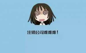 蕪湖公司注銷代辦費(fèi)用是多少錢哪家好