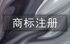 蕪湖商標(biāo)申請(qǐng)駁回原因破解和提速技巧